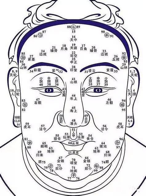 面相學分析